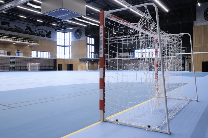 Billede til Blegg hallartmar